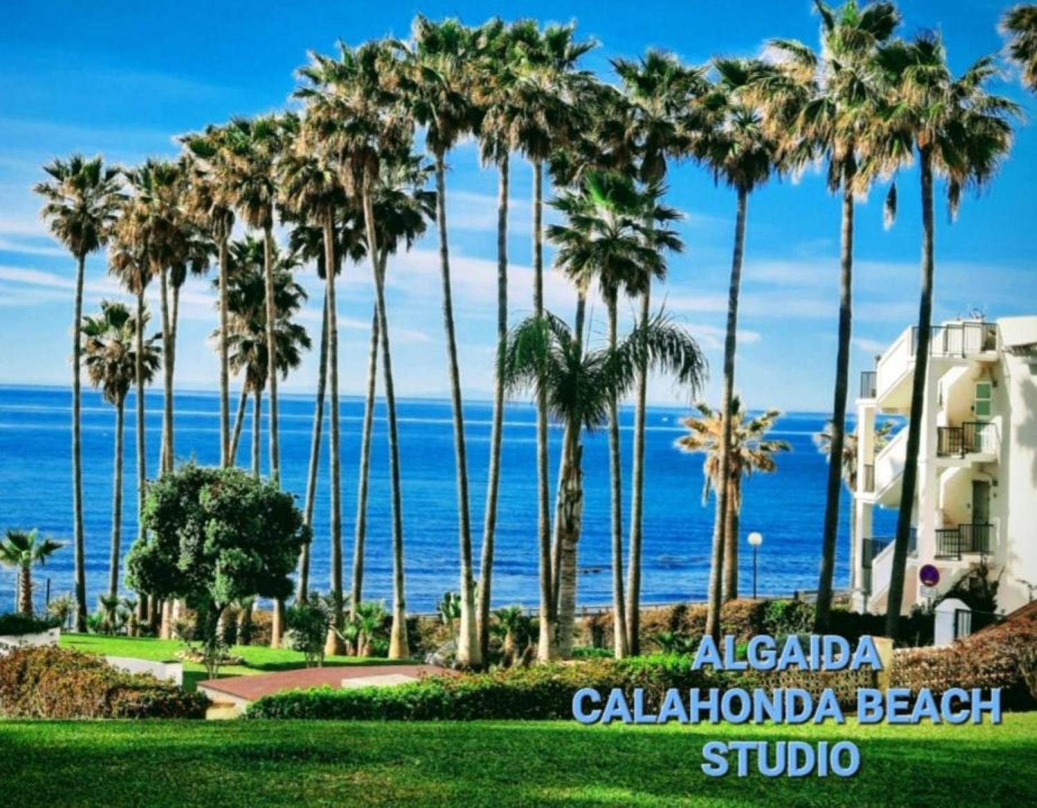 Nuevo! Algaida Calahonda Beach Studio Sitio de Calahonda Εξωτερικό φωτογραφία